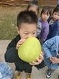 人气：168  上传时间：2021/10/27 16:21:21
